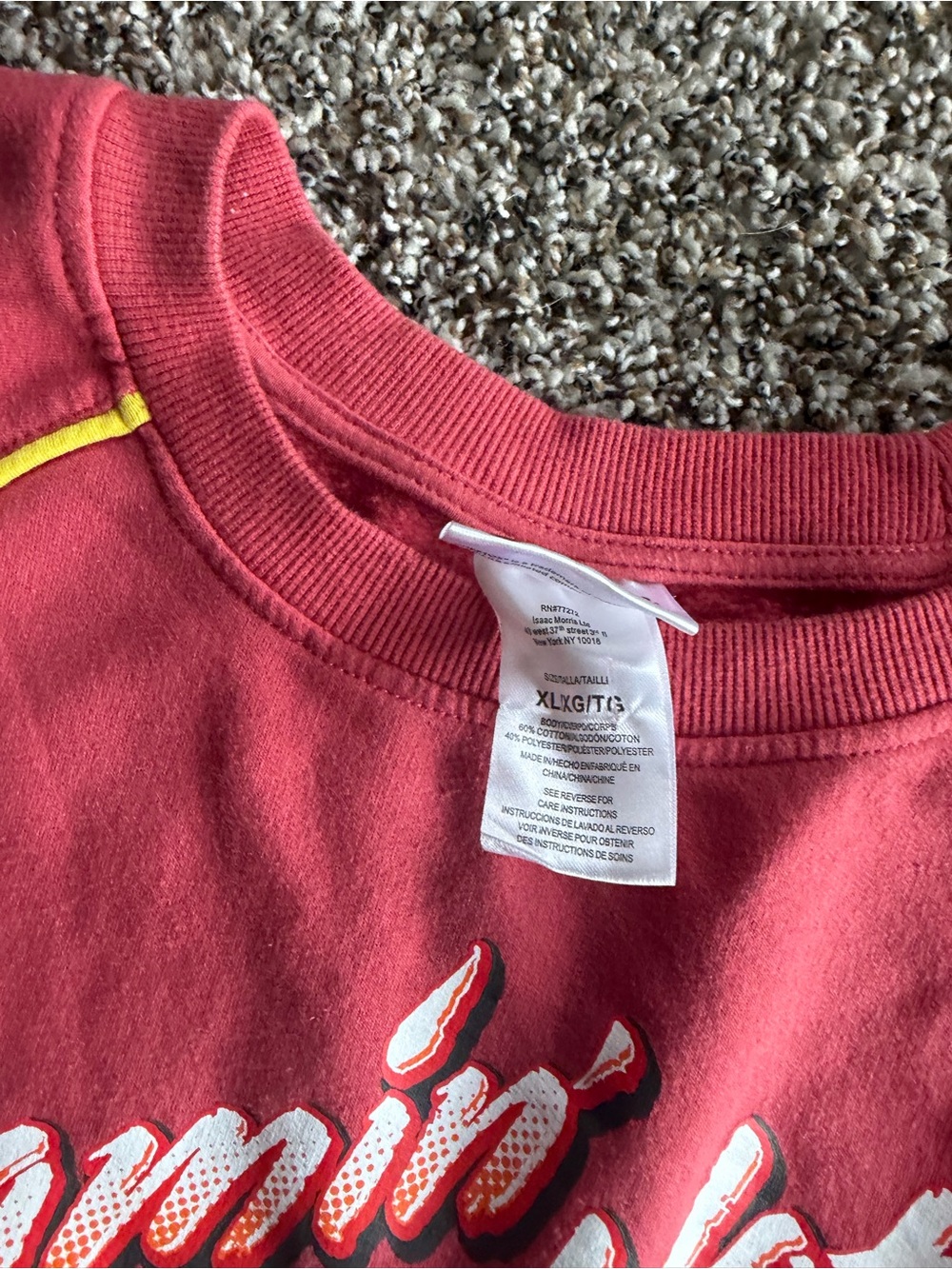 Flamin' Hot Graphic Crewneck Sweatshirt - Pink - Picture 3 of 5